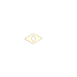 Witness